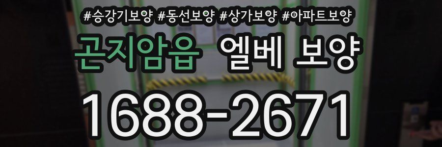 곤지암읍 엘베 보양