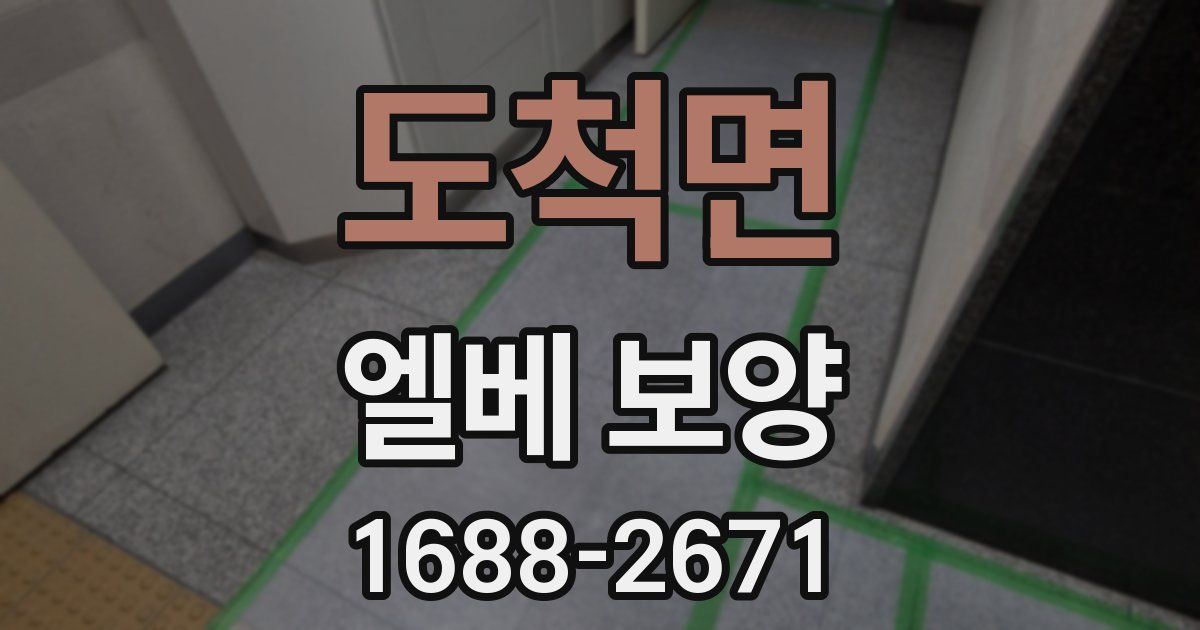 도척면 엘베 보양
