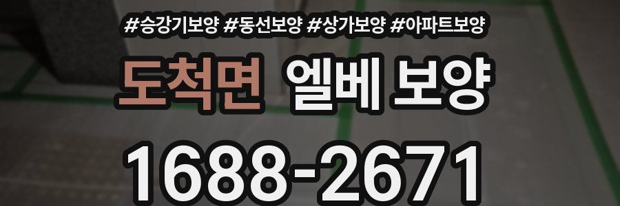 도척면 엘베 보양