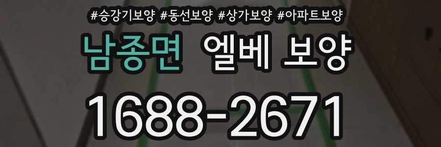 남종면 엘베 보양