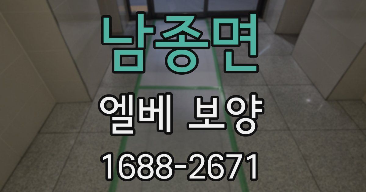 남종면 엘베 보양