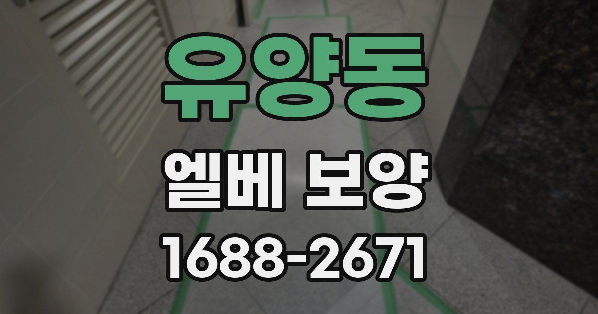 유양동 엘베 보양