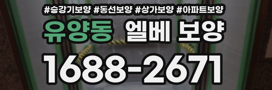 유양동 엘베 보양