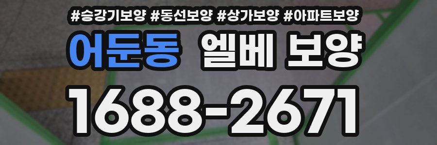 어둔동 엘베 보양