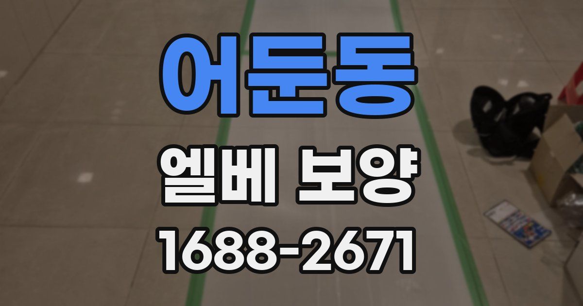 어둔동 엘베 보양