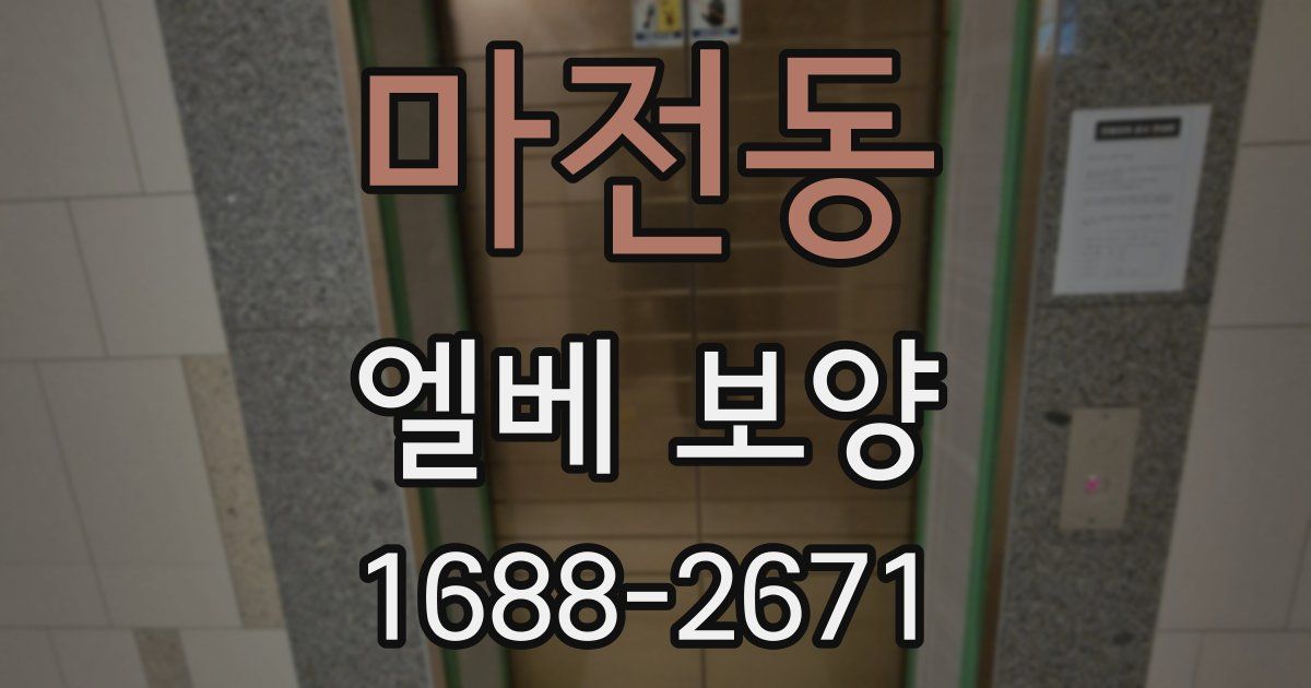 마전동 엘베 보양