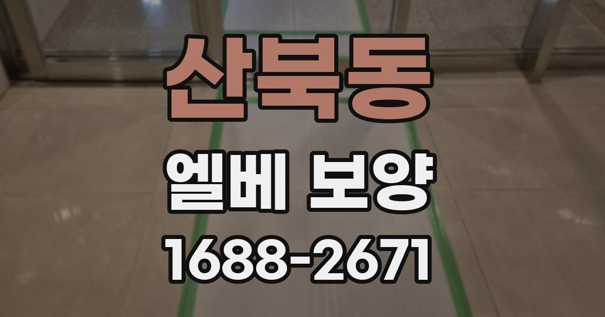 산북동 엘베 보양