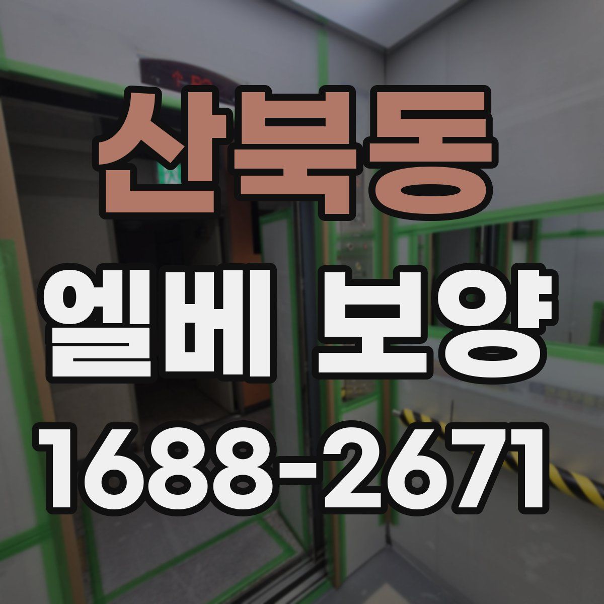 산북동 엘베 보양