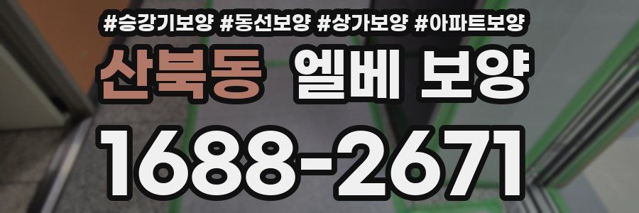 산북동 엘베 보양