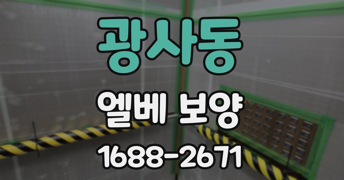 광사동 엘베 보양