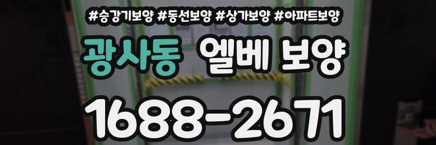 광사동 엘베 보양
