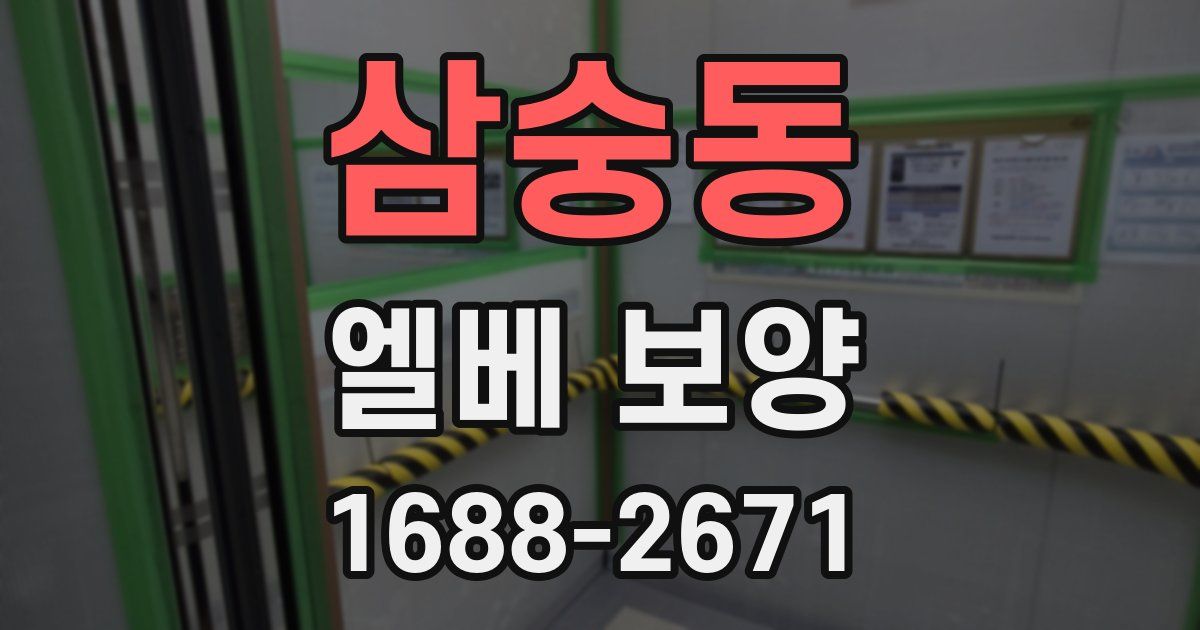 삼숭동 엘베 보양
