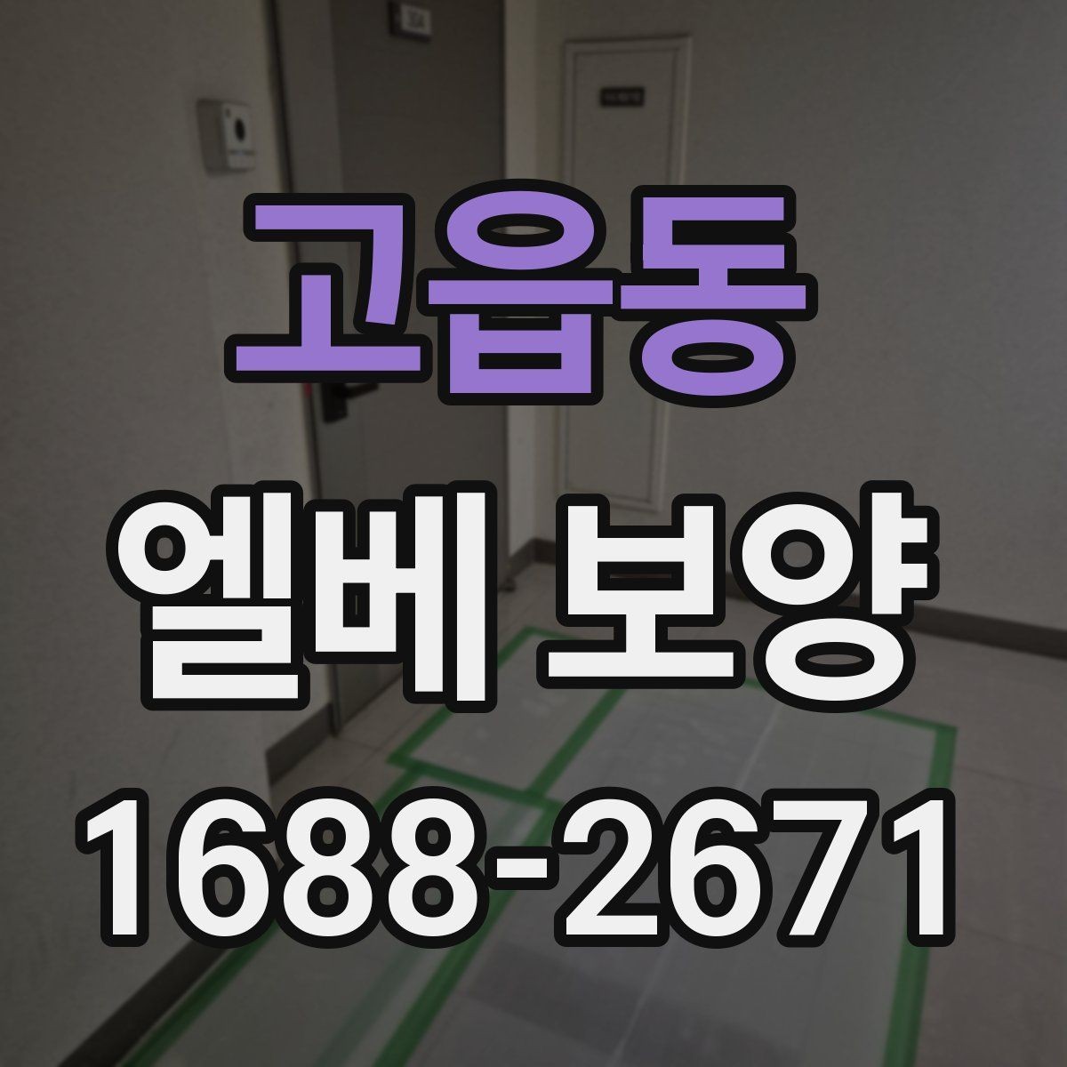 고읍동 엘베 보양 고정 상태가 오래 가는 현장 점검법