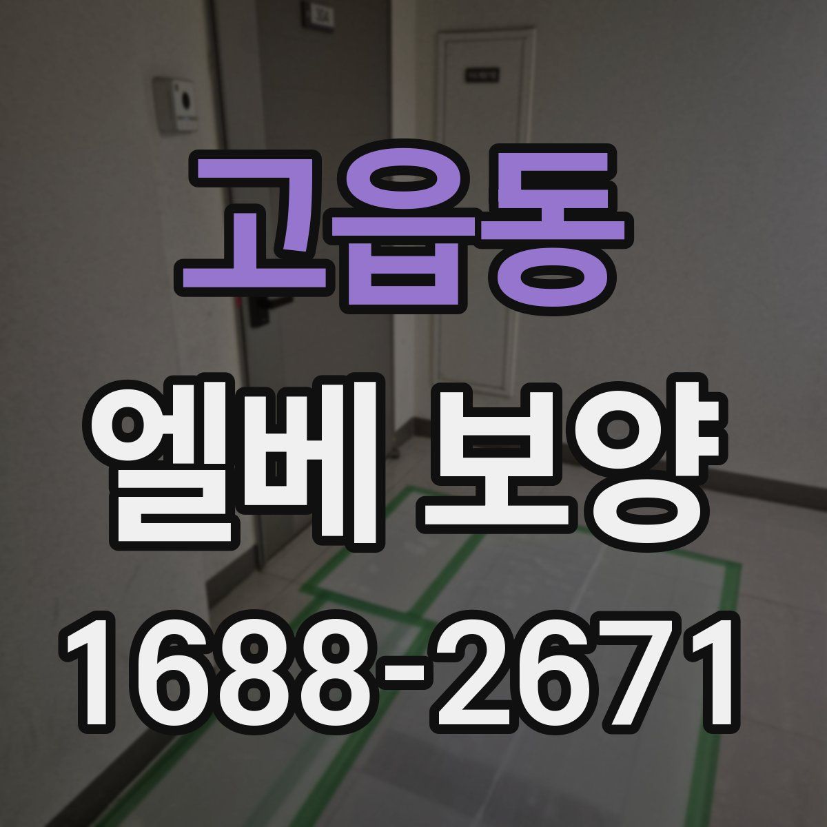 고읍동 엘베 보양