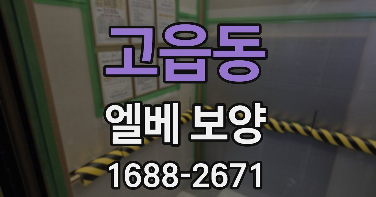 고읍동 엘베 보양