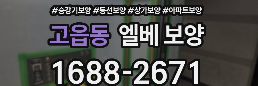 고읍동 엘베 보양