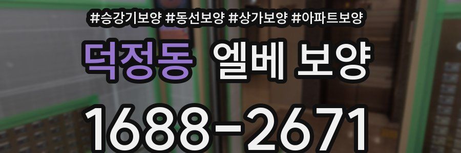 덕정동 엘베 보양