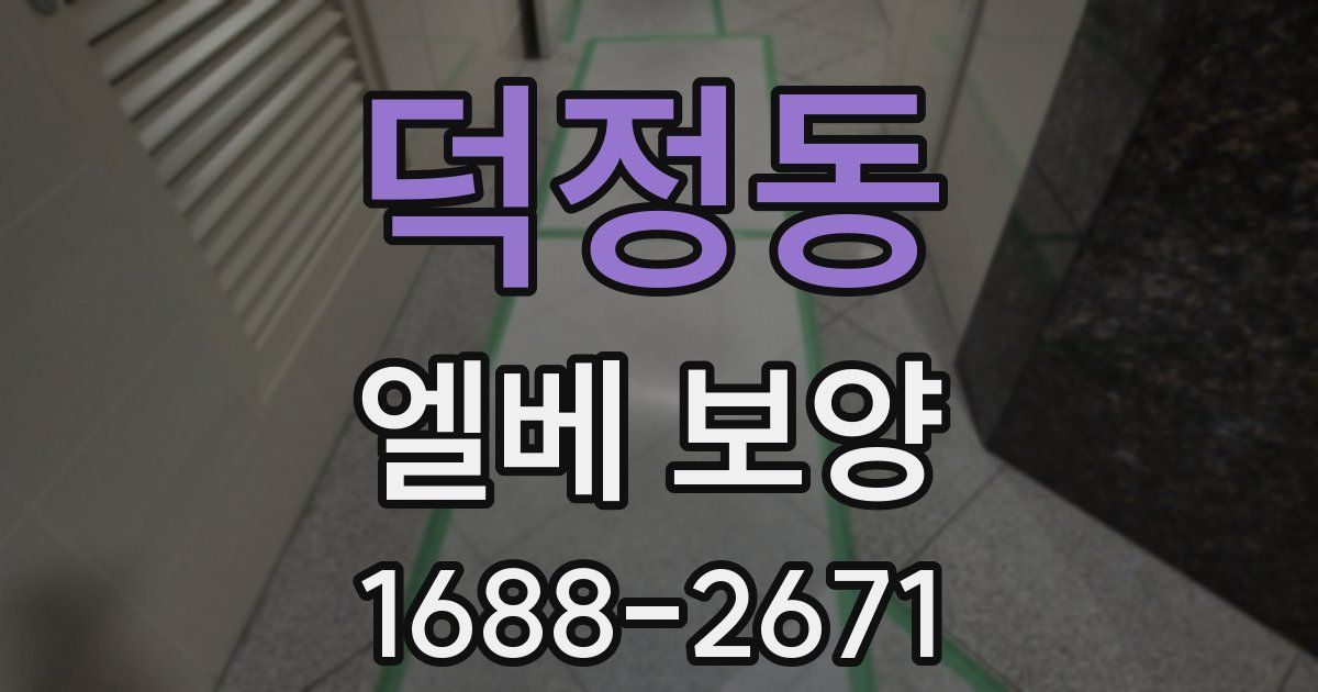덕정동 엘베 보양