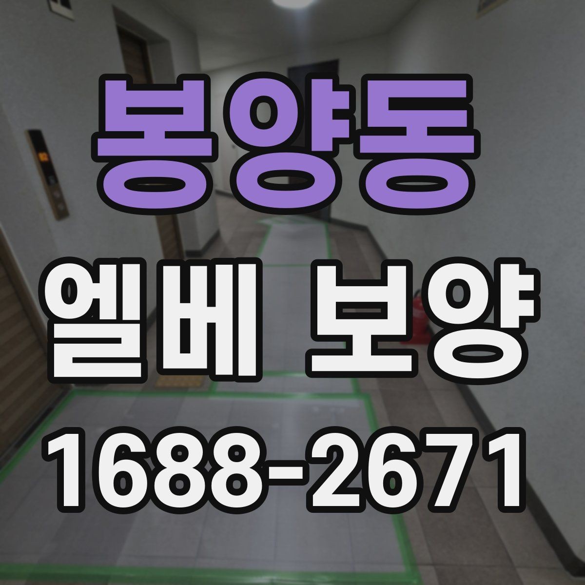 봉양동 엘베 보양 공사 현장별 먼저 막을 손상 구간