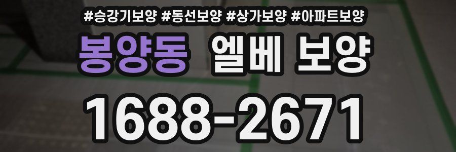 봉양동 엘베 보양