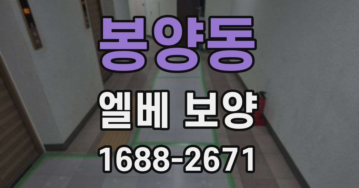 봉양동 엘베 보양