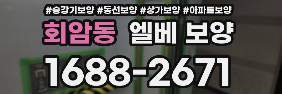회암동 엘베 보양