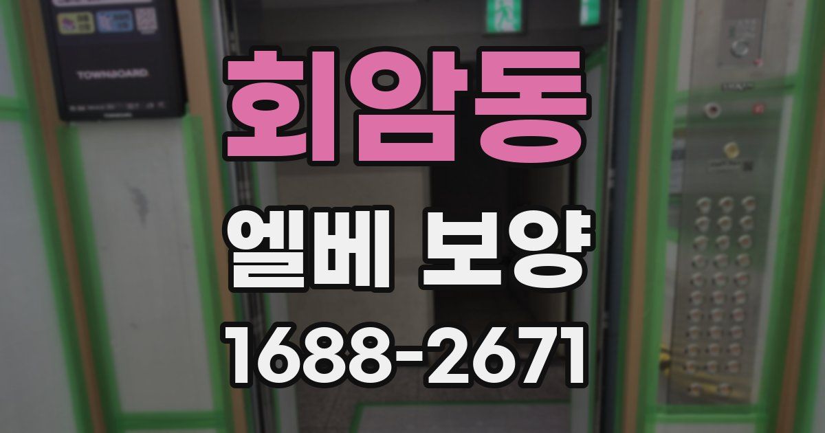 회암동 엘베 보양