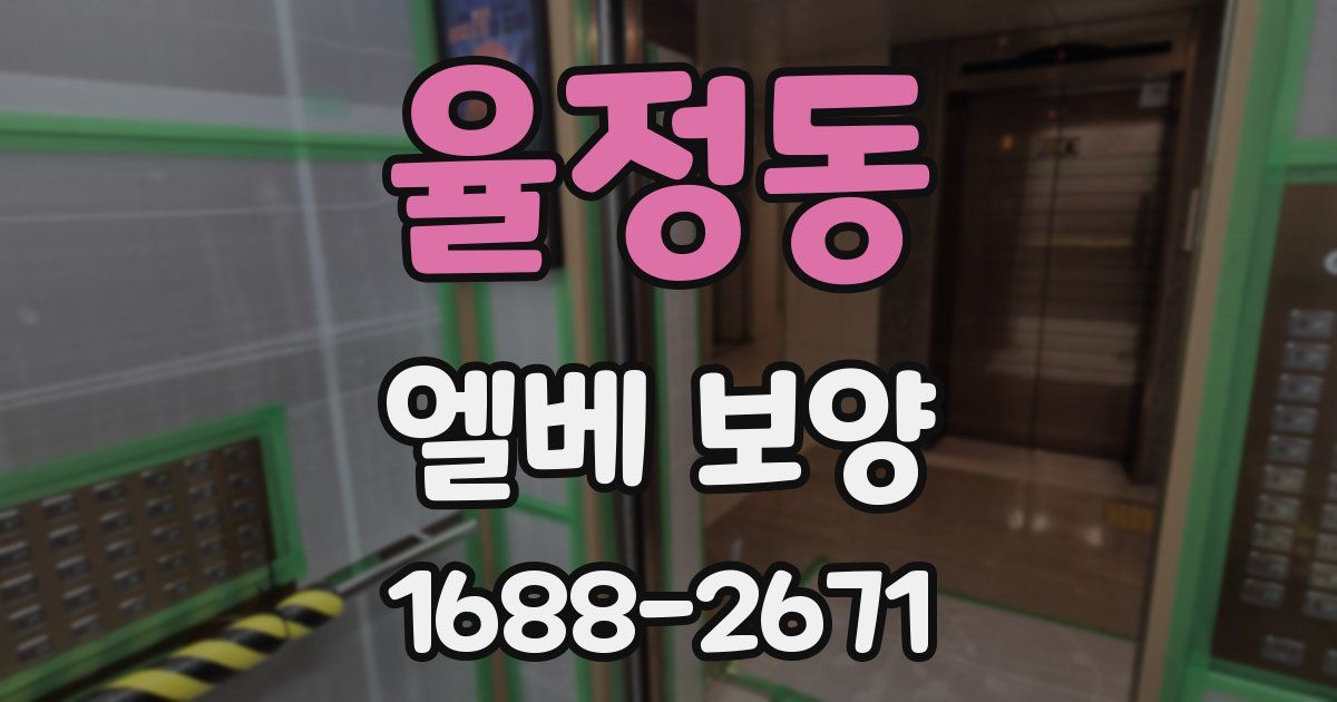 율정동 엘베 보양