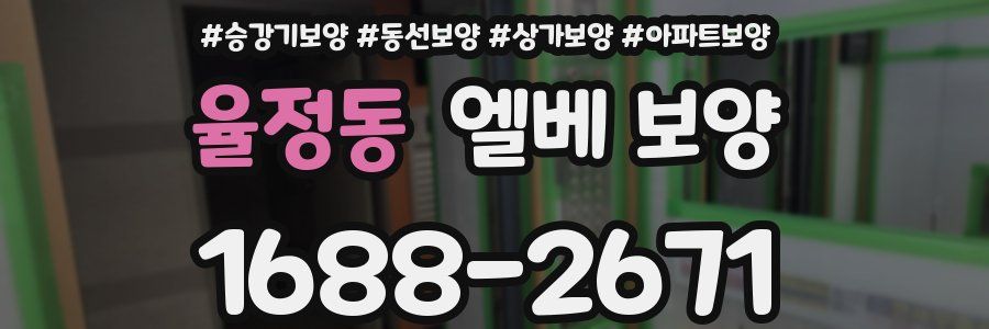 율정동 엘베 보양