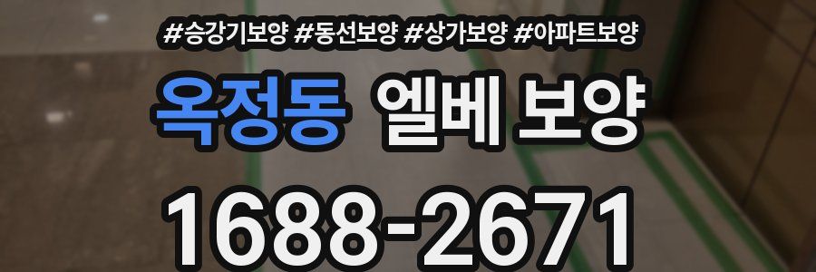 옥정동 엘베 보양