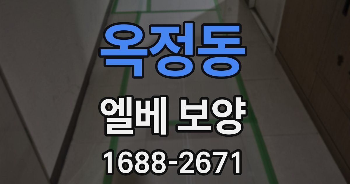 옥정동 엘베 보양