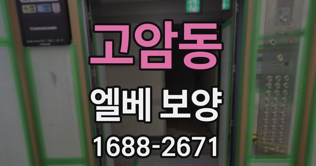 고암동 엘베 보양