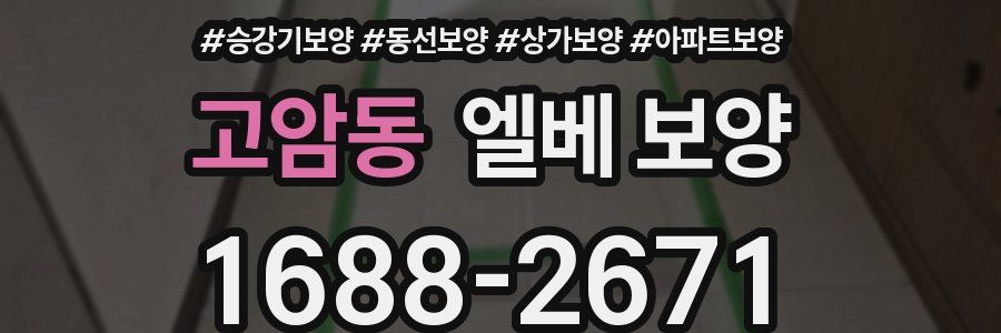 고암동 엘베 보양
