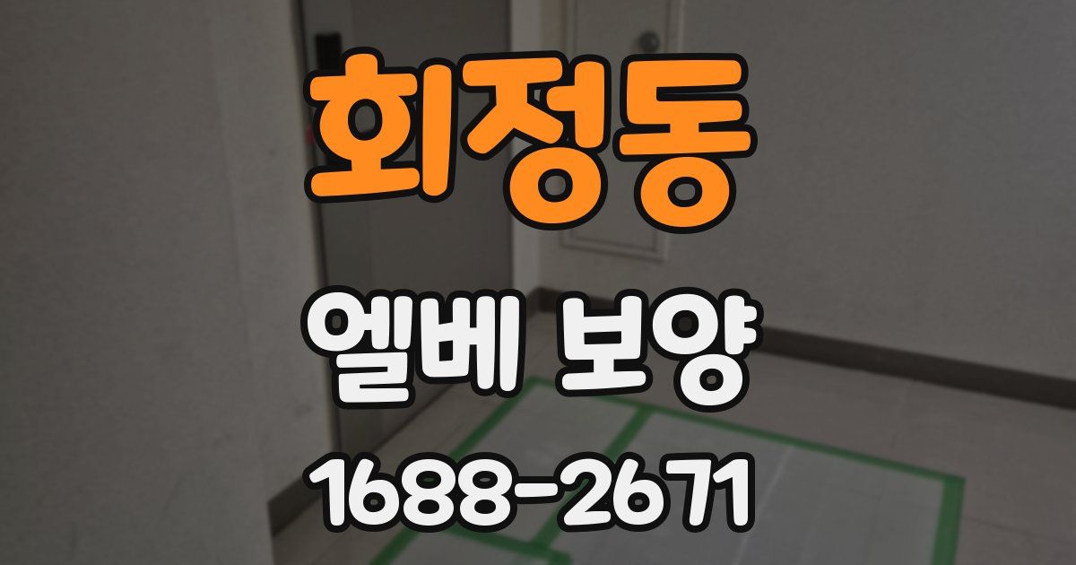 회정동 엘베 보양