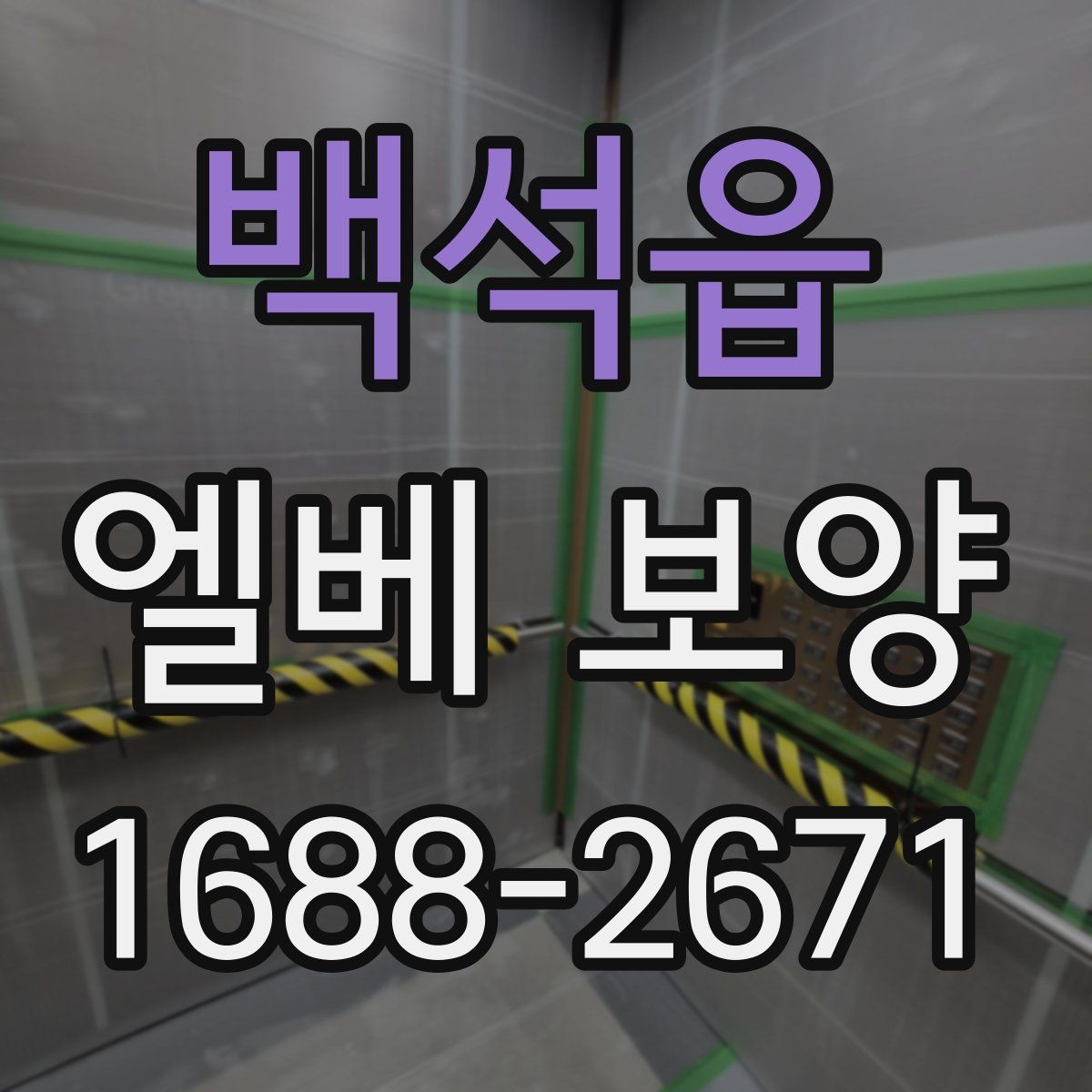 백석읍 엘베 보양 시트 고정 상태가 오래 가는 시공 포인트