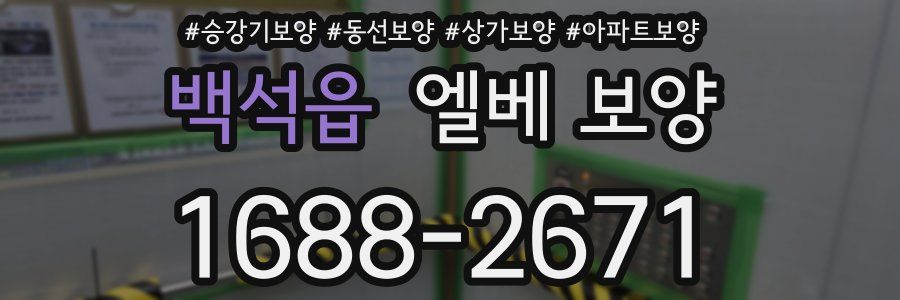 백석읍 엘베 보양