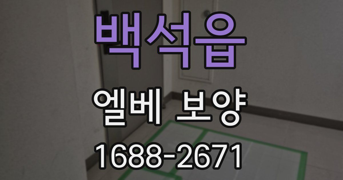 백석읍 엘베 보양