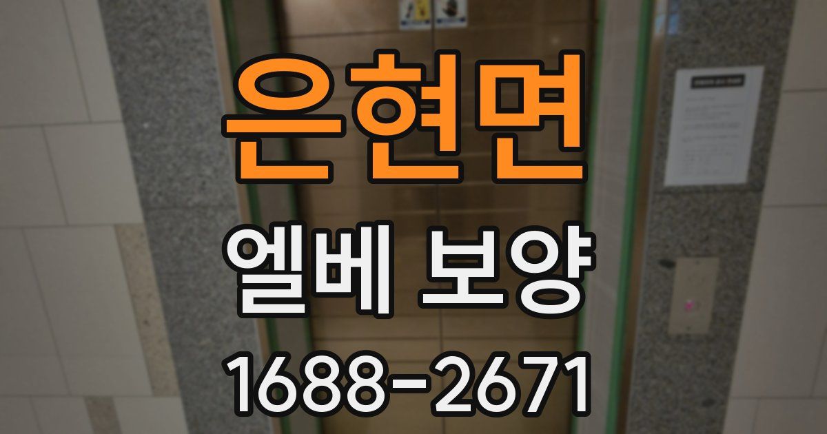 은현면 엘베 보양