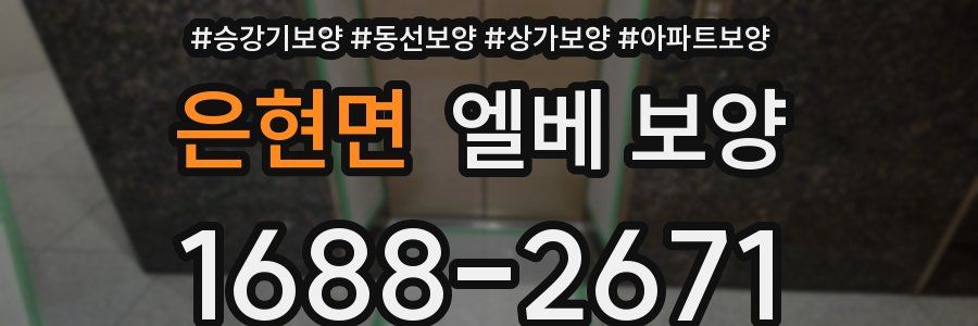은현면 엘베 보양