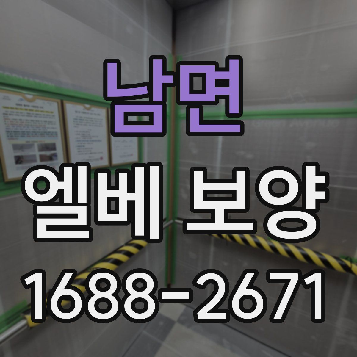 남면 엘베 보양