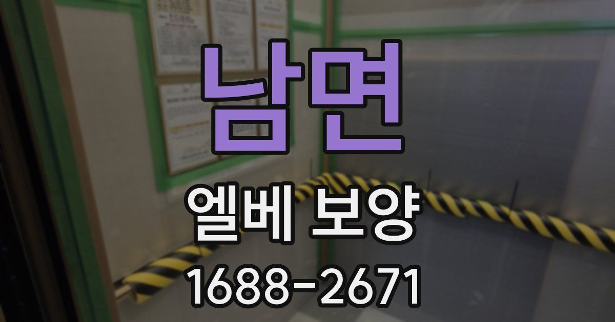 남면 엘베 보양