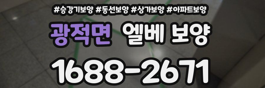 광적면 엘베 보양