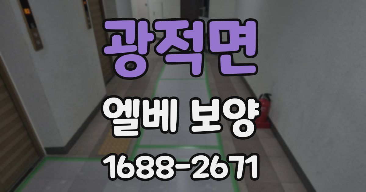 광적면 엘베 보양