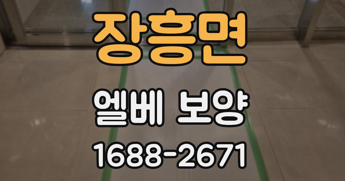 장흥면 엘베 보양