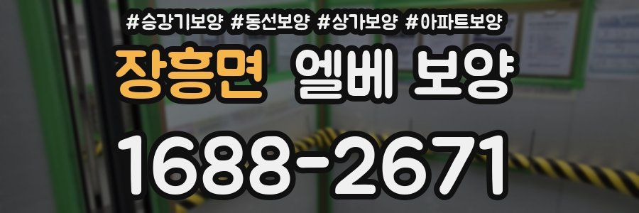 장흥면 엘베 보양