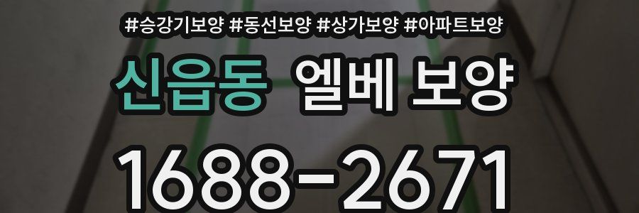 신읍동 엘베 보양