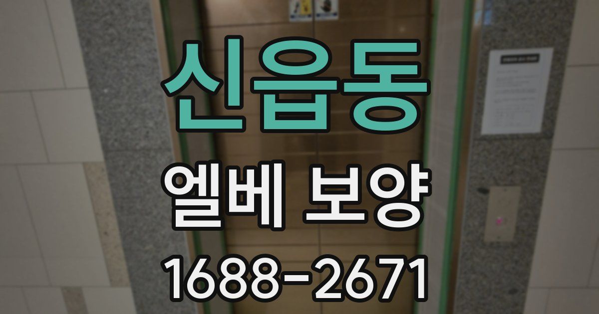 신읍동 엘베 보양