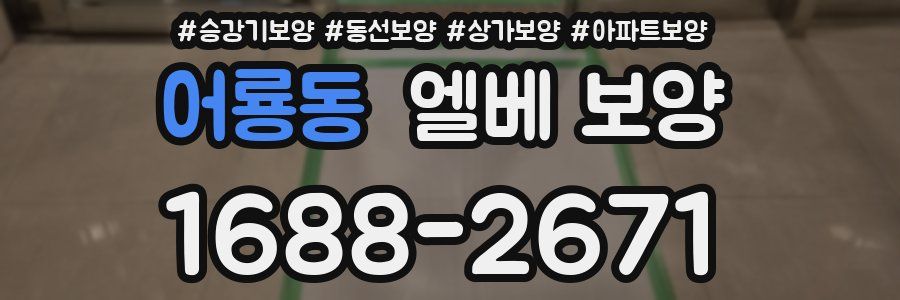 어룡동 엘베 보양