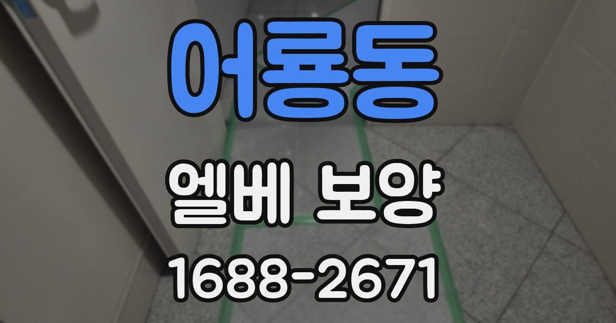 어룡동 엘베 보양