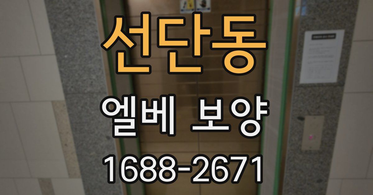 선단동 엘베 보양